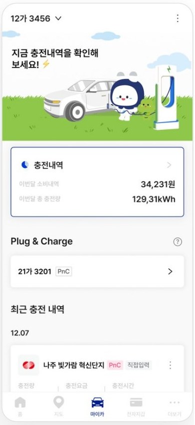 마이카
